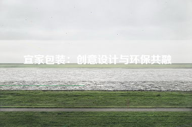 宜家包装：创意设计与环保共融
