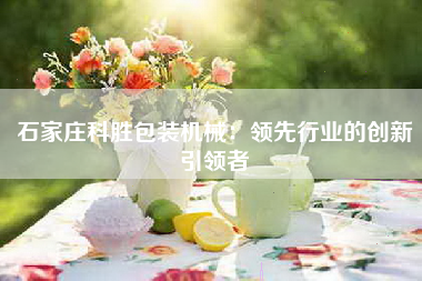 石家庄科胜包装机械：领先行业的创新引领者