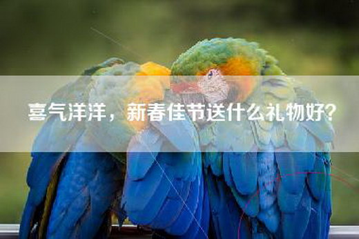 喜气洋洋，新春佳节送什么礼物好？