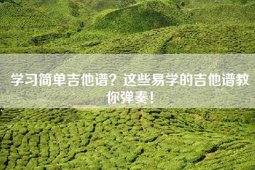 学习简单吉他谱？这些易学的吉他谱教你弹奏！