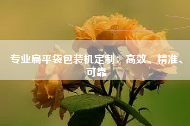 专业扁平袋包装机定制：高效、精准、可靠
