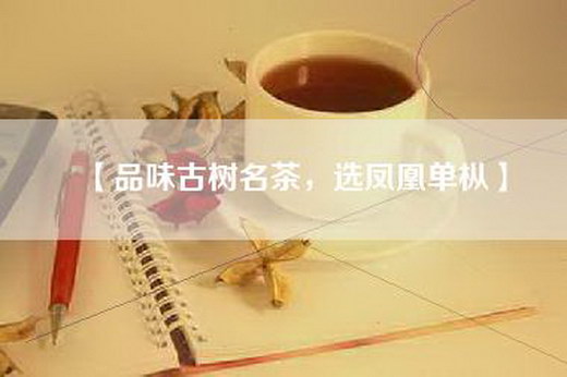 【品味古树名茶，选凤凰单枞】