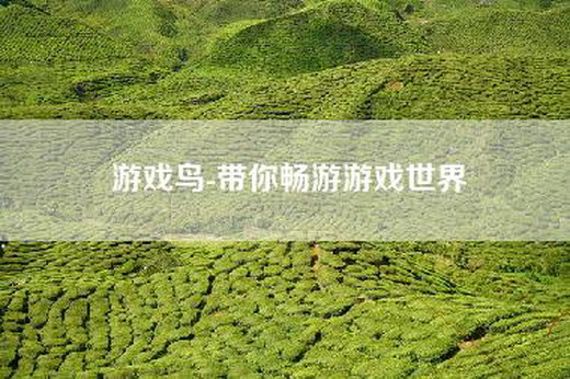 游戏鸟-带你畅游游戏世界