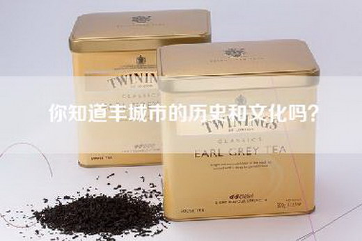 你知道丰城市的历史和文化吗？
