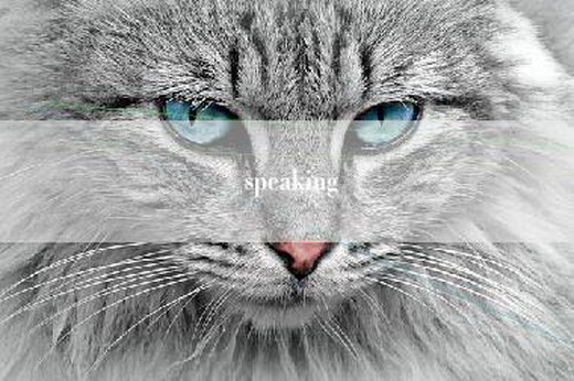 speaking
