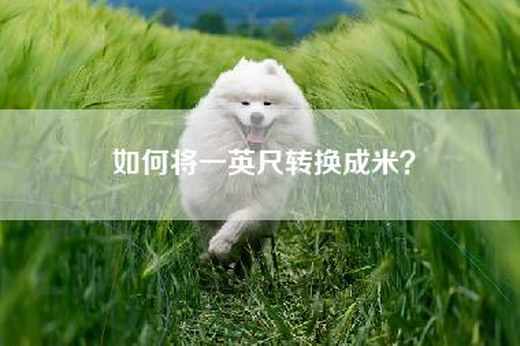 如何将一英尺转换成米？