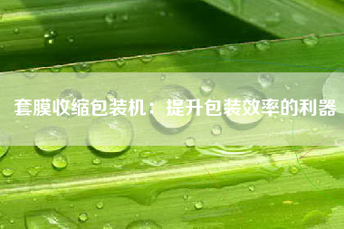 套膜收缩包装机：提升包装效率的利器