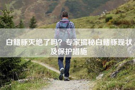 白鳍豚灭绝了吗？专家揭秘白鳍豚现状及保护措施