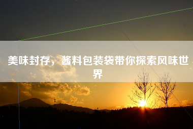 美味封存，酱料包装袋带你探索风味世界