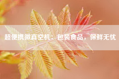 超便携微真空机：包装食品，保鲜无忧