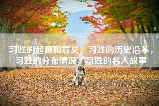 习姓的起源和意义，习姓的历史沿革，习姓的分布情况，习姓的名人故事
