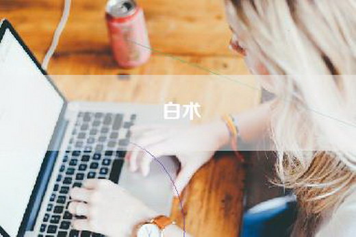 白术