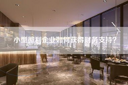 小型微利企业如何获得财务支持？