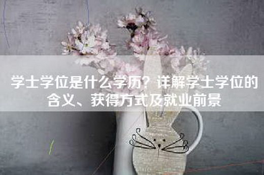 学士学位是什么学历？详解学士学位的含义、获得方式及就业前景