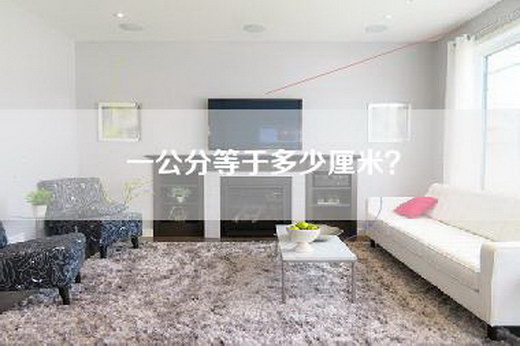 一公分等于多少厘米？