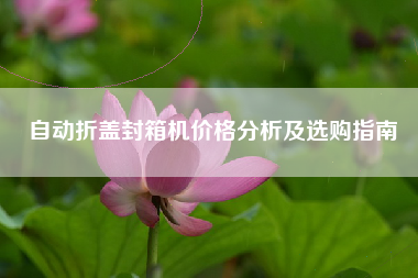 自动折盖封箱机价格分析及选购指南