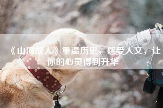 《山河故人》重温历史，感受人文，让你的心灵得到升华