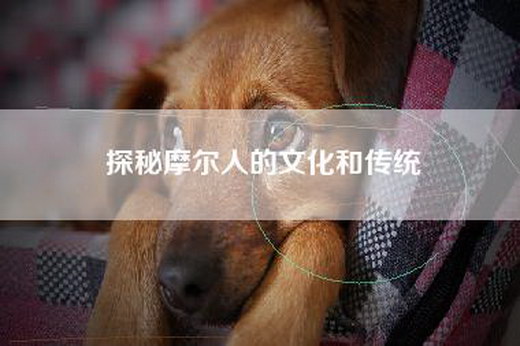admin