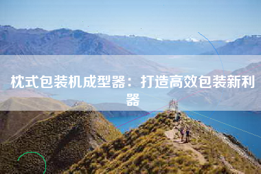 枕式包装机成型器：打造高效包装新利器