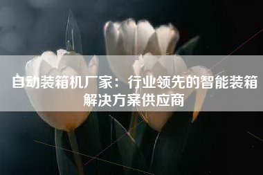 自动装箱机厂家：行业领先的智能装箱解决方案供应商