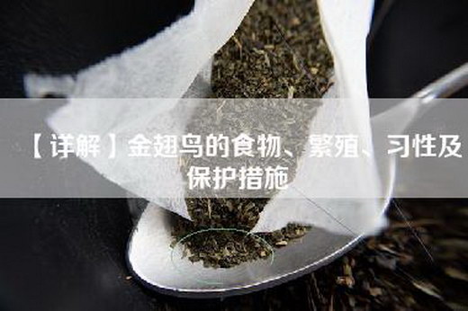 【详解】金翅鸟的食物、繁殖、习性及保护措施