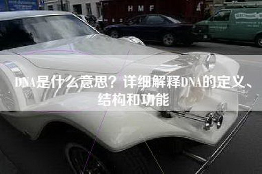 DNA是什么意思？详细解释DNA的定义、结构和功能