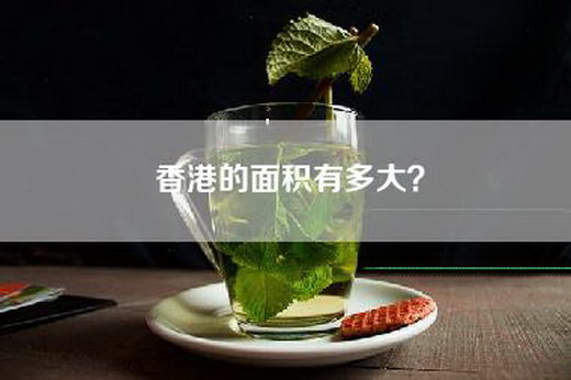 香港的面积有多大？