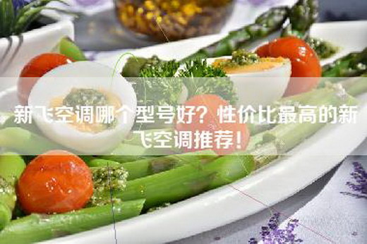 新飞空调哪个型号好？性价比最高的新飞空调推荐！
