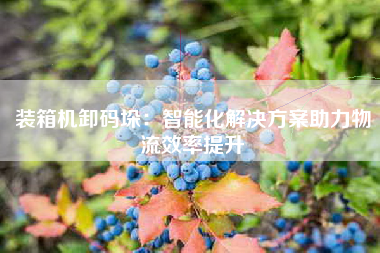 装箱机卸码垛：智能化解决方案助力物流效率提升