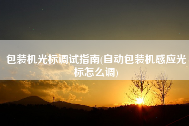 包装机光标调试指南(自动包装机感应光标怎么调)