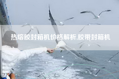 热熔胶封箱机价格解析,胶带封箱机