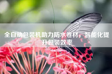 全自动包装机助力防水卷材，智能化提升包装效率