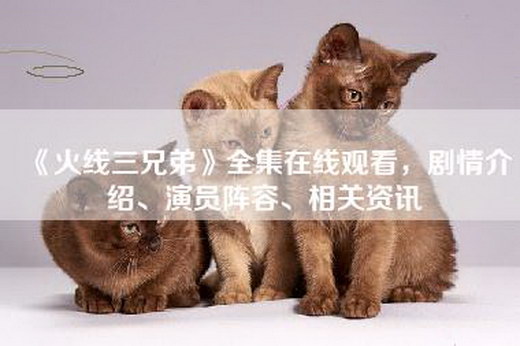《火线三兄弟》全集—，剧情介绍、演员阵容、相关资讯