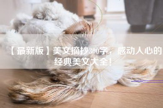 【最新版】美文摘抄300字，感动人心的经典美文大全！