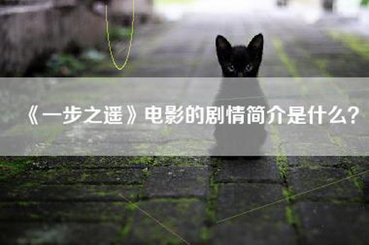 《一步之遥》电影的剧情简介是什么？