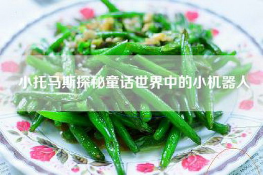 小托马斯探秘童话世界中的小机器人