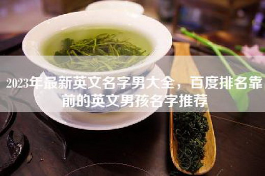 2023年最新英文名字男大全，百度排名靠前的英文男孩名字推荐
