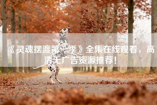 《灵魂摆渡第一季》全集—，高清无广告资源推荐！