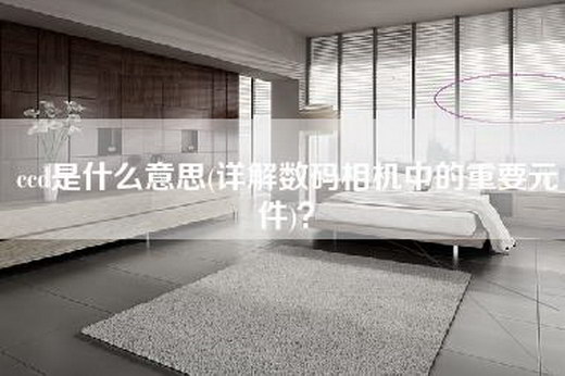 ccd是什么意思(详解数码相机中的重要元件)？