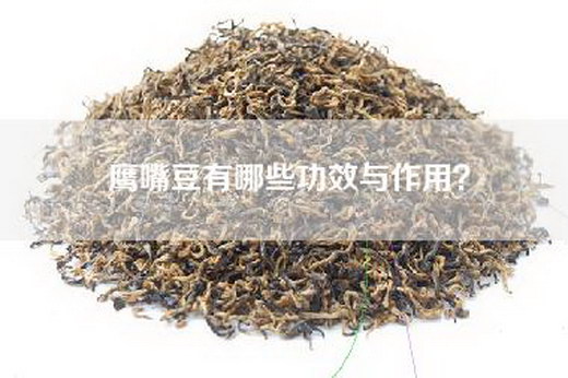 鹰嘴豆有哪些功效与作用？