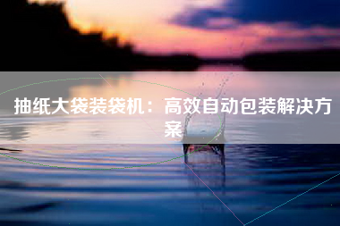 抽纸大袋装袋机：高效自动包装解决方案