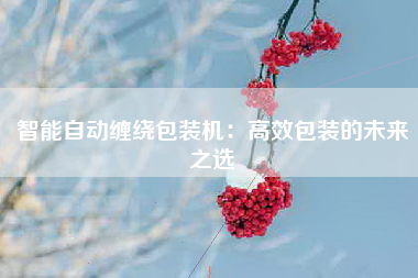 智能自动缠绕包装机：高效包装的未来之选