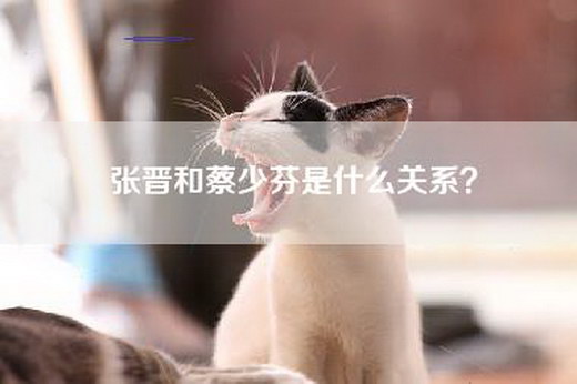 张晋和蔡少芬是什么关系？
