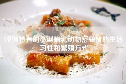 澳洲特有的小型哺乳动物密袋鼠的生活习性和繁殖方式