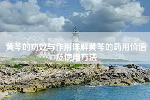 黄芩的功效与作用详解黄芩的药用价值及使用方法
