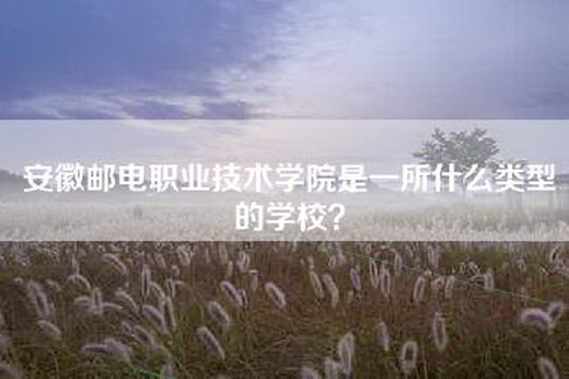 安徽邮电职业技术学院是一所什么类型的学校？
