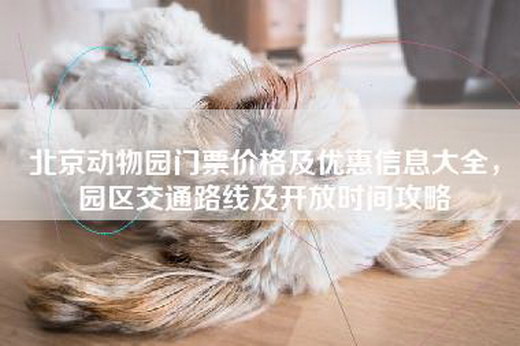 北京动物园门票价格及优惠信息大全，园区交通路线及开放时间攻略