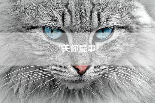 关你屁事