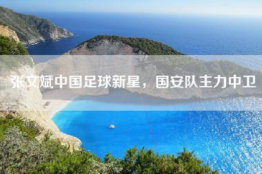 张文斌中国足球新星，国安队主力中卫