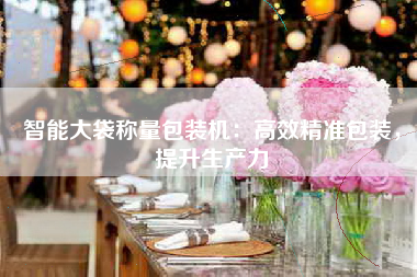 智能大袋称量包装机：高效精准包装，提升生产力